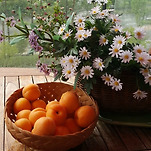 카페 프로필 이미지