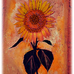 카페 프로필 이미지