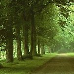 카페 프로필 이미지