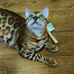 카페 프로필 이미지