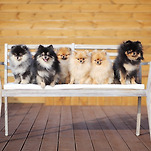 카페 프로필 이미지