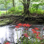 카페 프로필 이미지