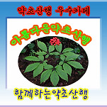 카페 프로필 이미지