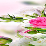 카페 프로필 이미지