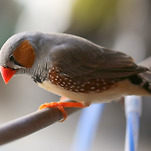 카페 프로필 이미지