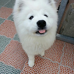 카페 프로필 이미지