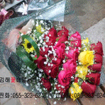 카페 프로필 이미지