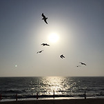 카페 프로필 이미지