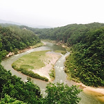 카페 프로필 이미지