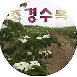카페 프로필 이미지