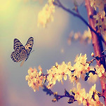 카페 프로필 이미지