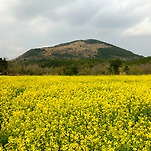 카페 프로필 이미지