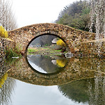 카페 프로필 이미지