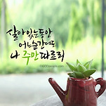 카페 프로필 이미지