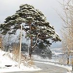 카페 프로필 이미지