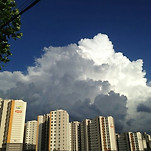 카페 프로필 이미지