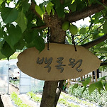 카페 프로필 이미지