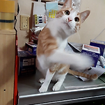 카페 프로필 이미지