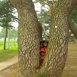 카페 프로필 이미지