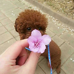 카페 프로필 이미지