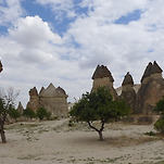 카페 프로필 이미지