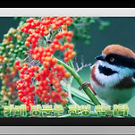 카페 프로필 이미지