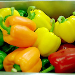 카페 프로필 이미지