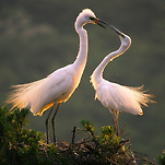 카페 프로필 이미지