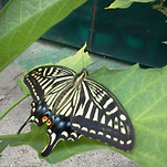 카페 프로필 이미지