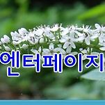 카페 프로필 이미지