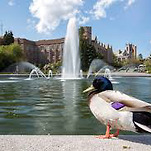 카페 프로필 이미지