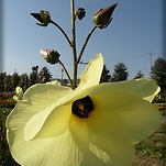 카페 프로필 이미지