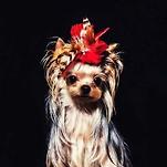 카페 프로필 이미지