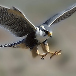 카페 프로필 이미지