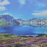 카페 프로필 이미지