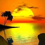 카페 프로필 이미지