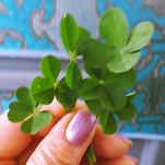 카페 프로필 이미지