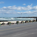 카페 프로필 이미지