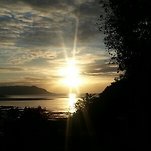 카페 프로필 이미지