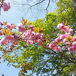카페 프로필 이미지