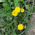 카페 프로필 이미지