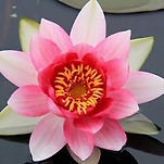 카페 프로필 이미지