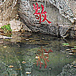 카페 프로필 이미지