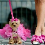 카페 프로필 이미지