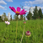 카페 프로필 이미지