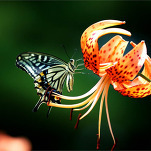 카페 프로필 이미지