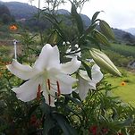 카페 프로필 이미지