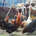 카페 프로필 이미지