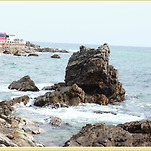 카페 프로필 이미지