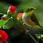 카페 프로필 이미지